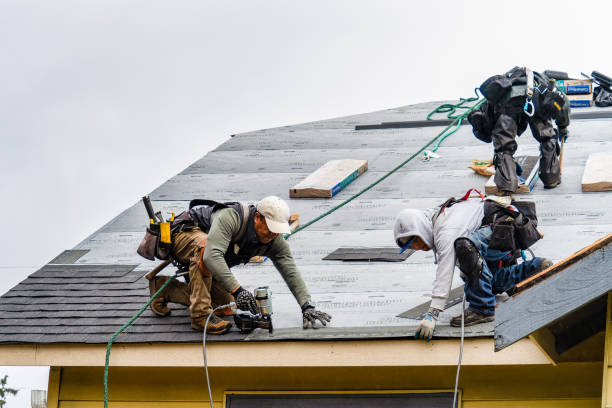 Professional Roofing technician working in Mantador, ND